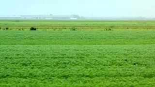 You are currently viewing Capsule 1 – Poursuite par l’UPA contre un agriculteur biologique