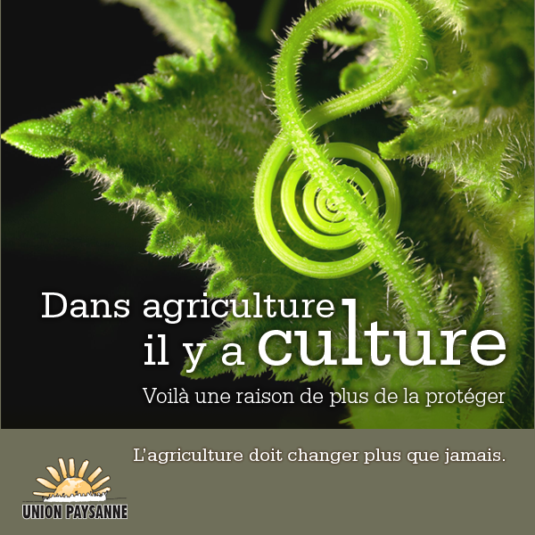 Lire la suite à propos de l’article Dans Agriculture il y a Culture
