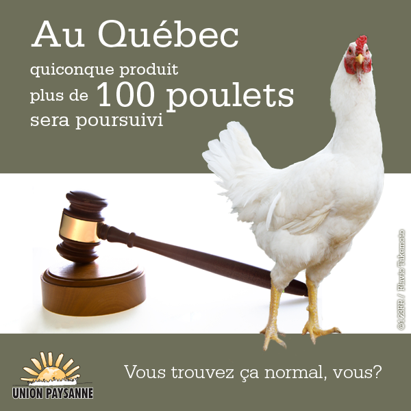 You are currently viewing 100 poulets