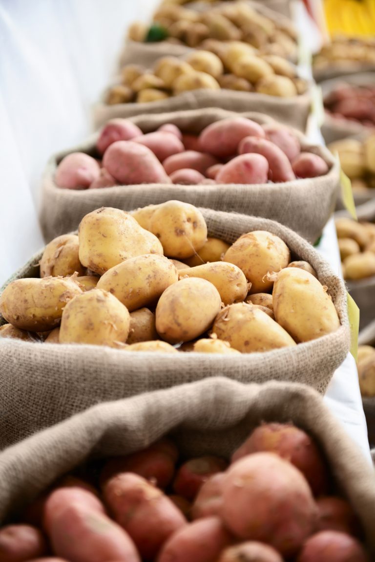 Lire la suite à propos de l’article Pommes de terre de semence biologiques