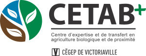 logo_cetabcegep_300px