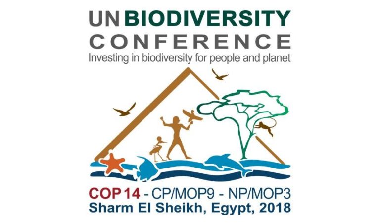 Lire la suite à propos de l’article COP 14 en Égypte : Les paysan.ne.s demandent un moratoire sur les technologies non-testées des corporations qui menacent la biodiversité, la sécurité alimentaire et les droits paysans