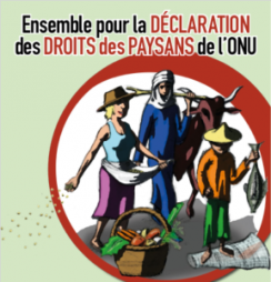 Lire la suite à propos de l’article Journée historique : Adoption officielle de la Déclaration des droits paysans!